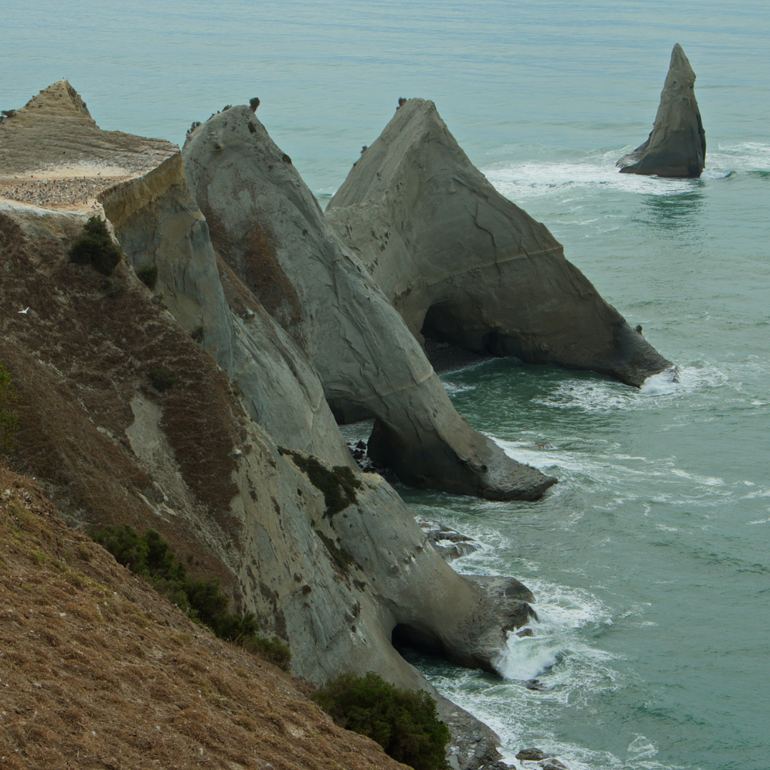 North Hawkes Bay, NZ #25343*