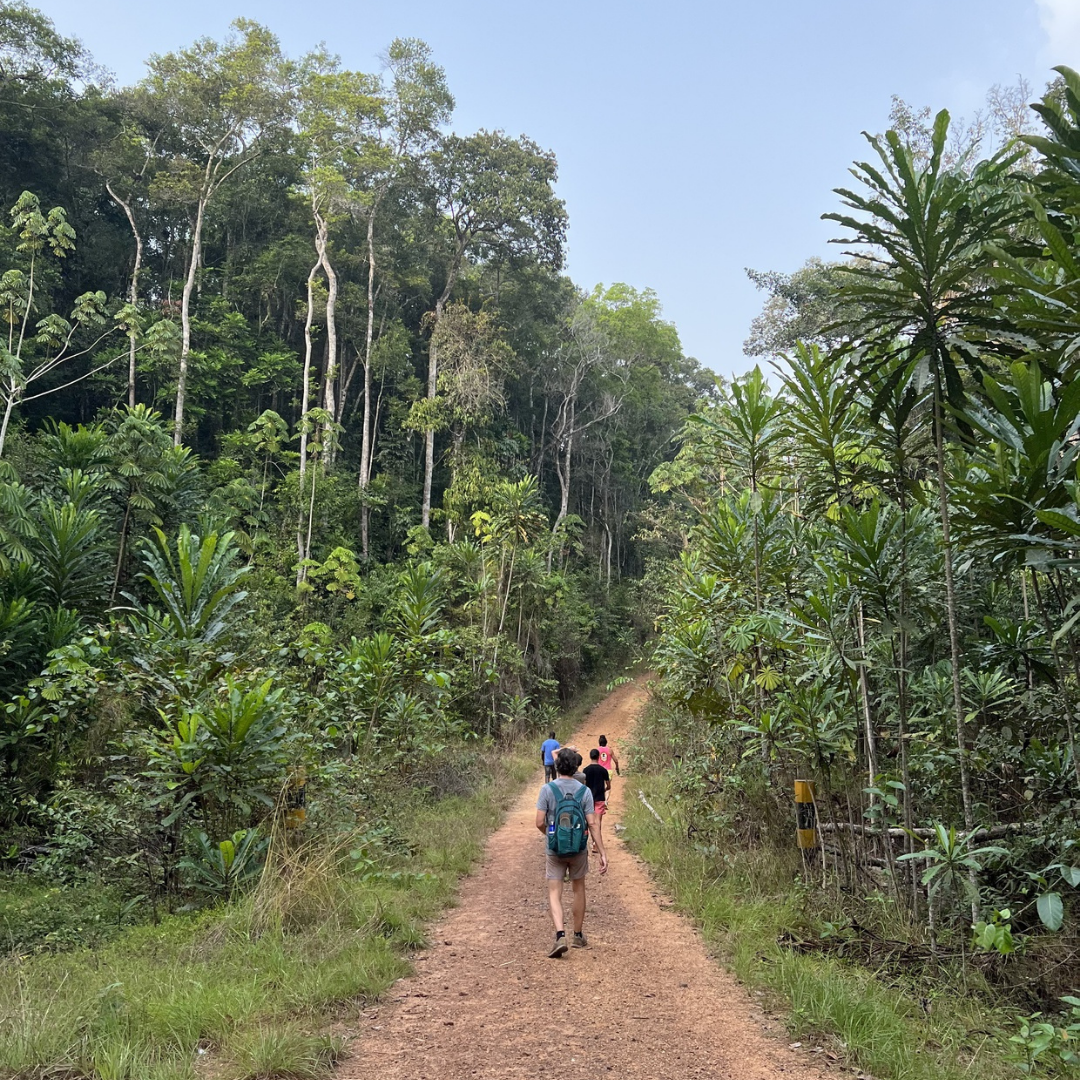 Experience the Heart of West Africa: the Natural Beauty and Culture of Liberia, 26411*