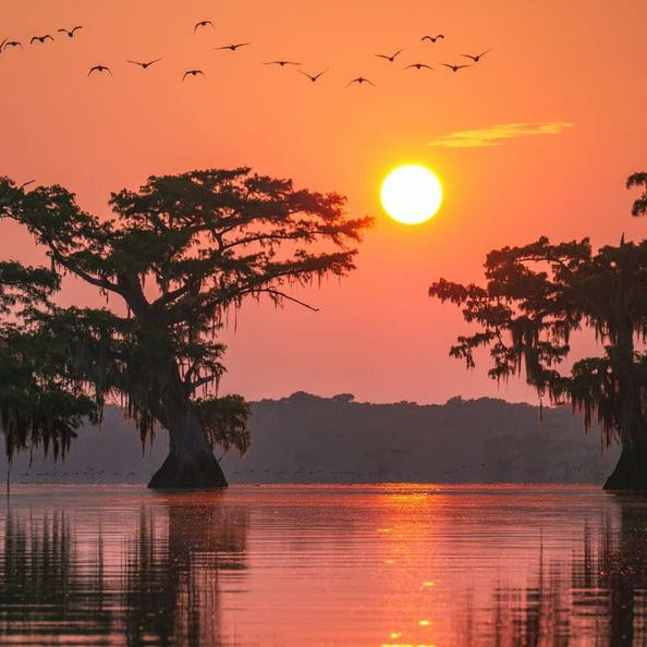 Columbia Cascade, USA πΊπΈ #26139*