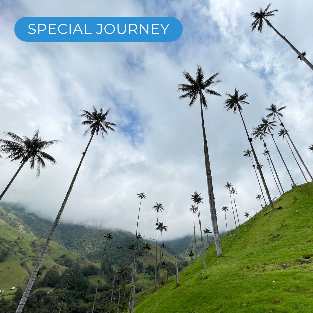 Colombia Coffee Triangle - Special Journey #26106* (2026)