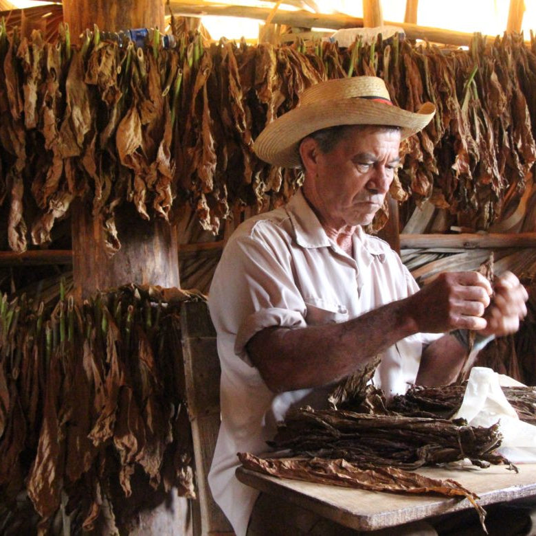 #27376 🇨🇺 Discover Authentic Cuba*
