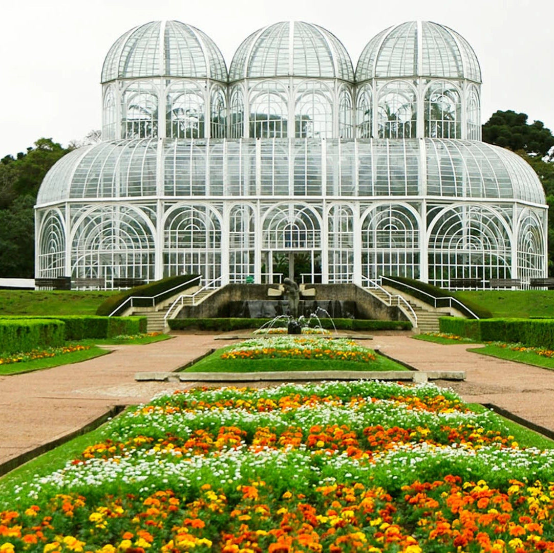 Pinhais, Paraná, Brazil #26383*
