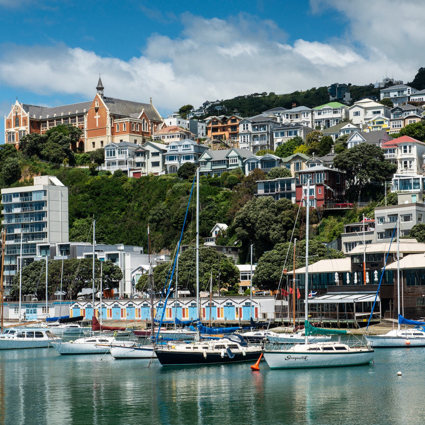 Wellington, New Zealand 🇳🇿 #26243*