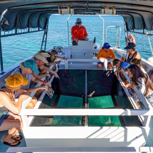 Guadeloupe 🇬🇵 #26037*