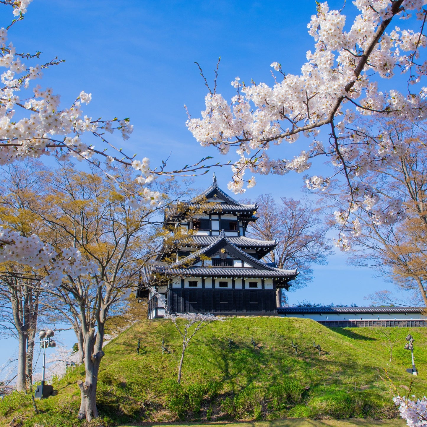 Niigata, Japan 🇯🇵 and Taipei, Taiwan 🇹🇼 #26061*