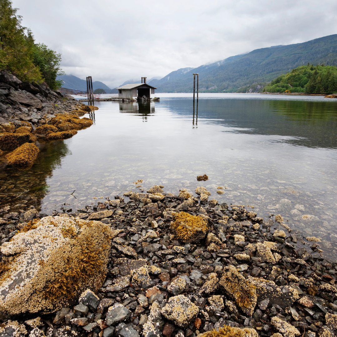 Nanoose Bay, Vancouver Island, Canada*