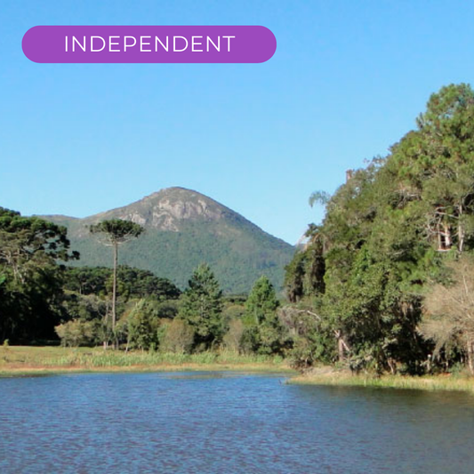 Pinhais, Paraná, Brazil #26383*