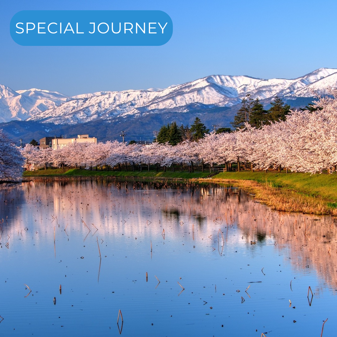 Niigata, Japan 🇯🇵 and Taipei, Taiwan 🇹🇼 #26061*