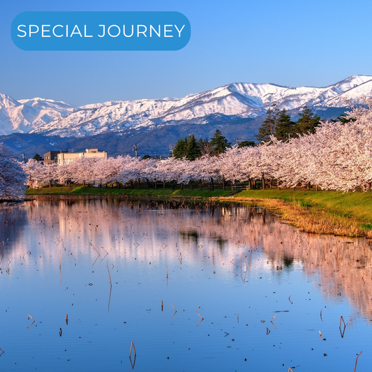 Niigata, Japan 🇯🇵 and Taipei, Taiwan 🇹🇼 #26061*