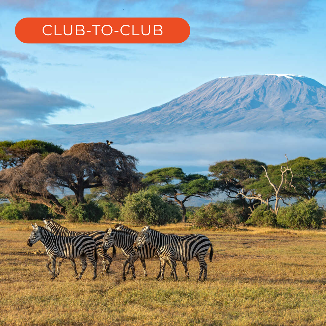 Nairobi, Kenya #26059*