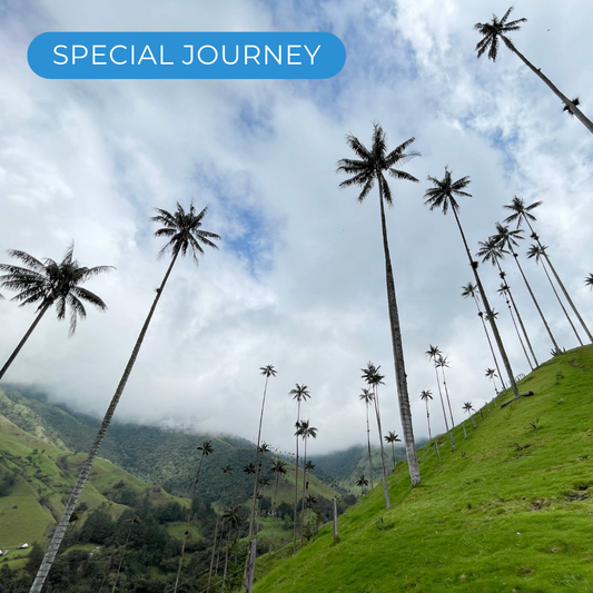 Colombia Coffee Triangle - Special Journey #26106* (2026)