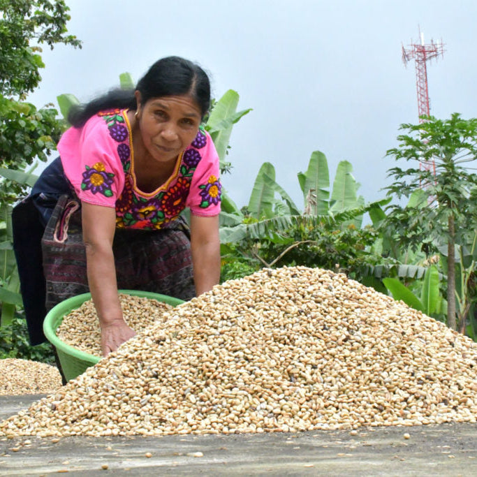 #26453 Guatemala: Where Mayan Tradition meets Modern Life*