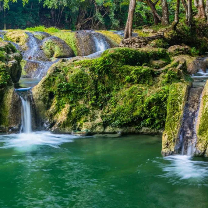 #27376 🇨🇺 Discover Authentic Cuba*