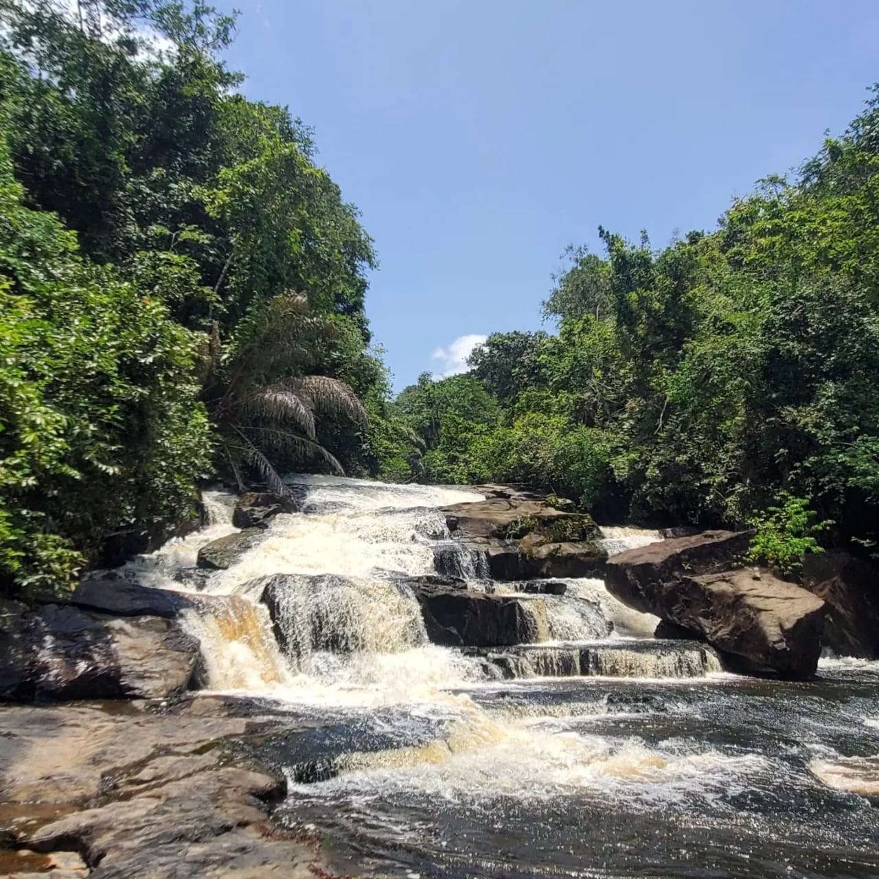 الجانب الآخر من بويرتو فالارتا #25002 (MyFF)