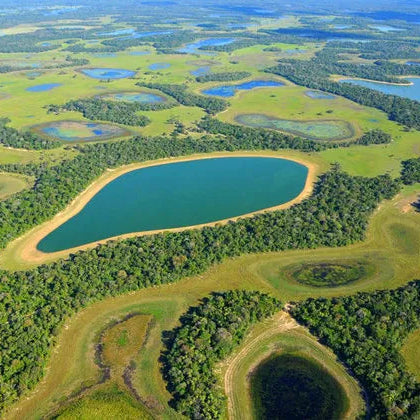 Discover Amazon and the Pantanal #25318*