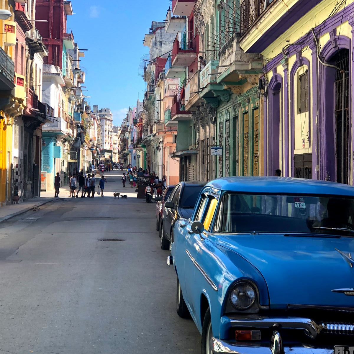 #27376 🇨🇺 Discover Authentic Cuba*