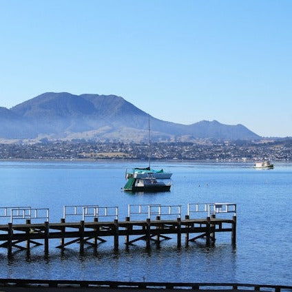 Taupo, NZ #24329*