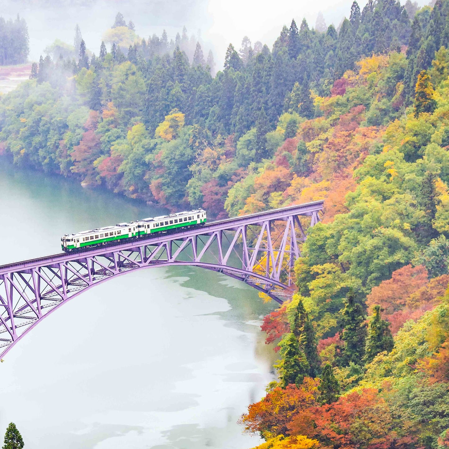 Niigata, Japan 🇯🇵 and Taipei, Taiwan 🇹🇼 #26061*