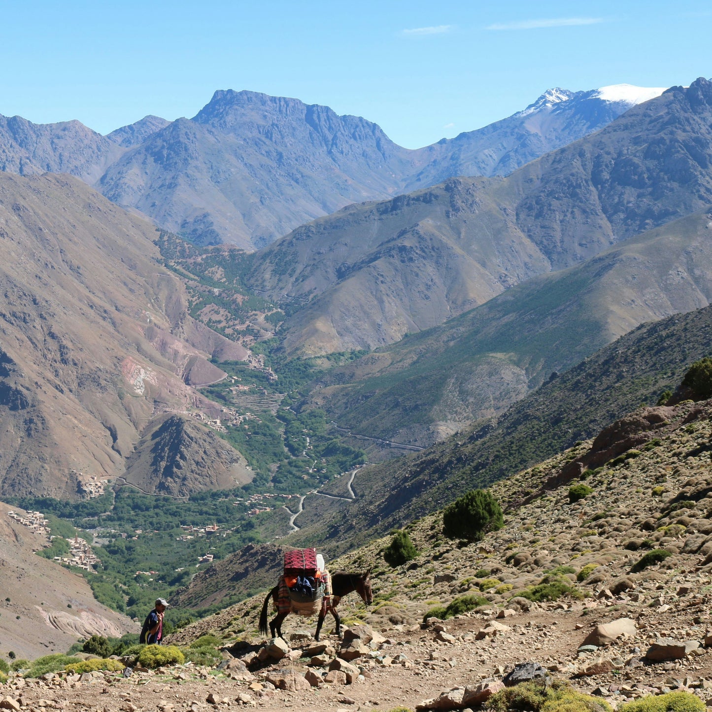 Discover Morocco's Hidden Treasures #25258*