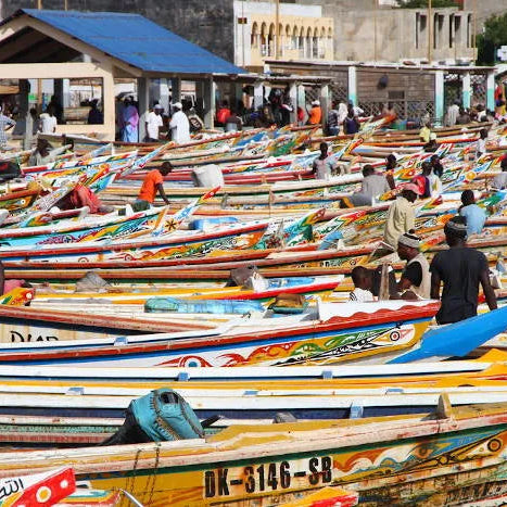 Senegal: Teranga Hospitality - A Land of History & Culture 🇸🇳  #26391 *