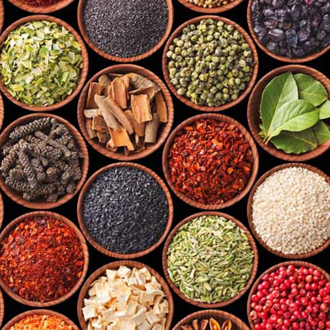 #26281 Uzbekistan: Culture and Community on the Silk Road*