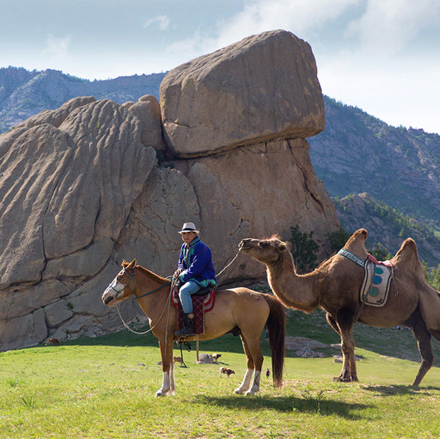 Mongolia 🇲🇳 #26225*